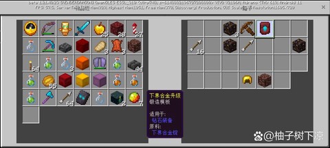 我的世界钚模式是什么