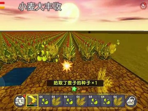 迷你世界麦子怎么收[图2]