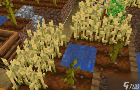 我的世界怎么获得小麦
