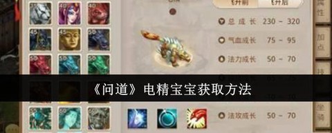 问道手游宝宝怎么升级