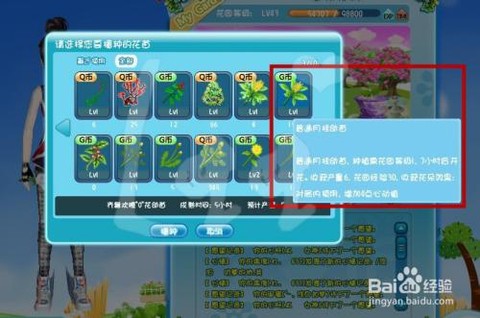 qq炫舞镇长怎么获得[图2]