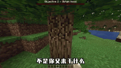 我的世界怎么砍树最快[图2]