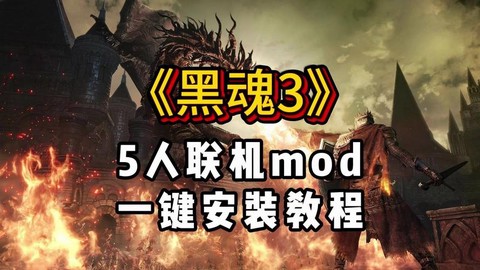 黑魂3盗版怎么联机[图2]