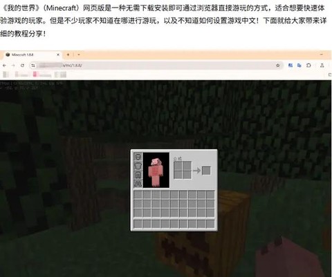 怎么在电脑上玩我的世界[图2]