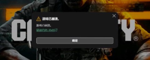 使命召唤怎么进不去[图2]