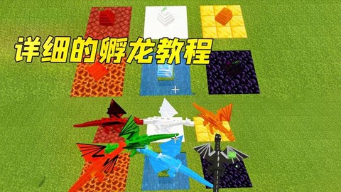 我的世界中龙蛋怎么孵化[图2]